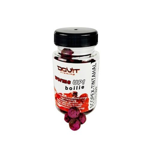 Dovit Worms up! Boilie scopex-tintahal 10mm 35g