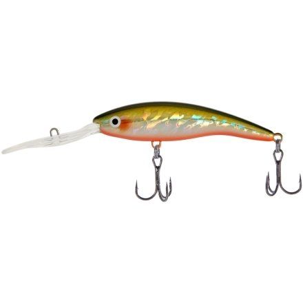 Select Basher 110F #24