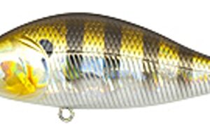 Pontoon 21 Bet-A-Shad 63SP-SR 007 Crash HG Gill