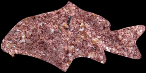 Professional Silver etetőanyag Keszegező 1kg