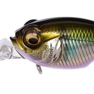 MEGABASS GRIFFON BAIT FINESSE SR-X 38mm 5.3gr WAGIN OIKAWA